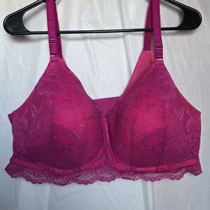 Elegant Fuchsia Lined Lace Bra 42D Wireless Torrid Curves
